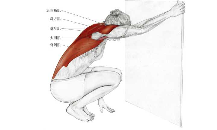 无器械胸肌锻炼方法_无器械三角肌锻炼方法_三角肌锻炼方法无器械